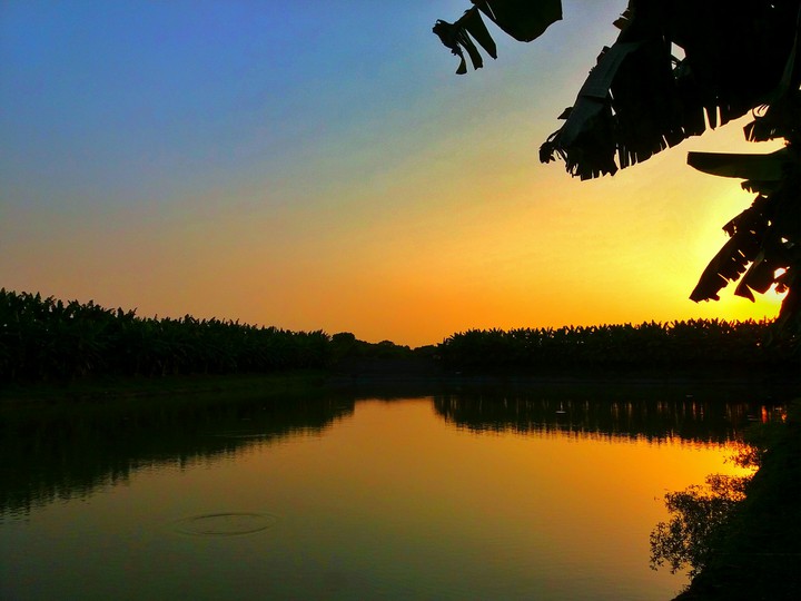 Nature