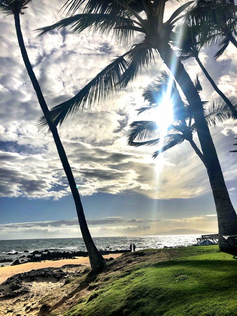 Maui