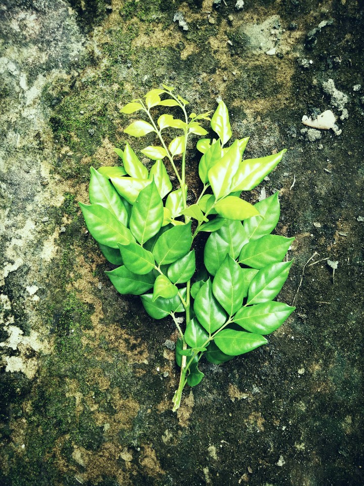 green
