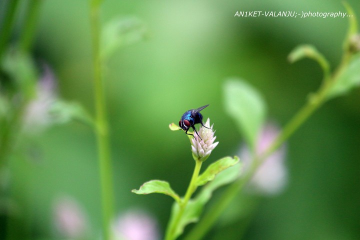 take-off