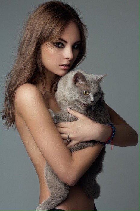 cat