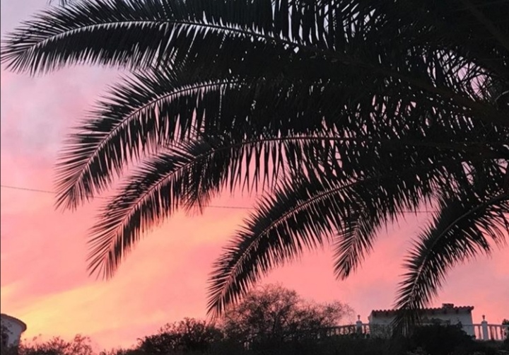 evening