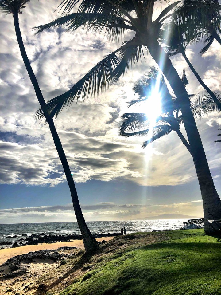 Maui