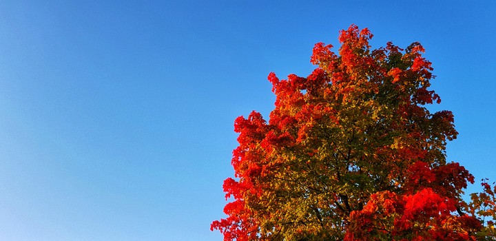 Autumn is here