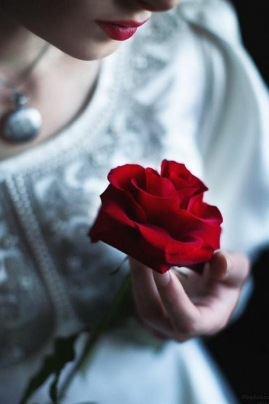 rose