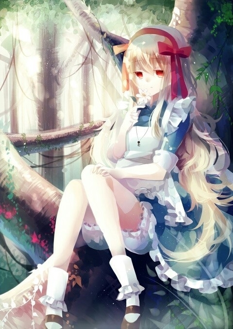 anime