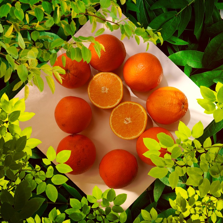 Fresh Oranges