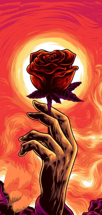 red rose