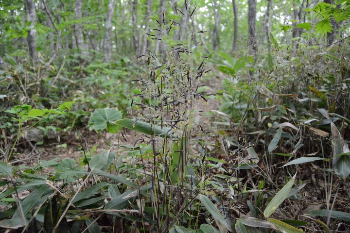 함백산이미지