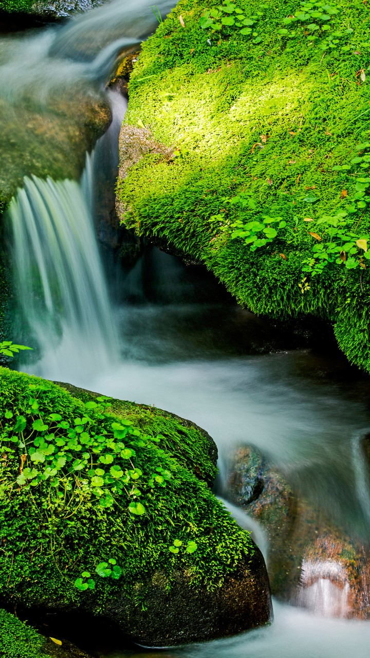 Flowing like a Water