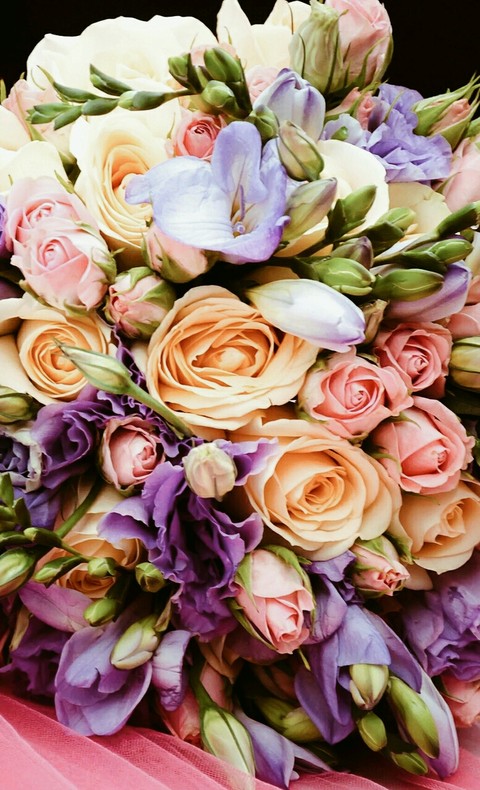 rose, floristry壁纸