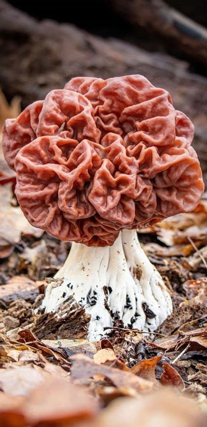 ?