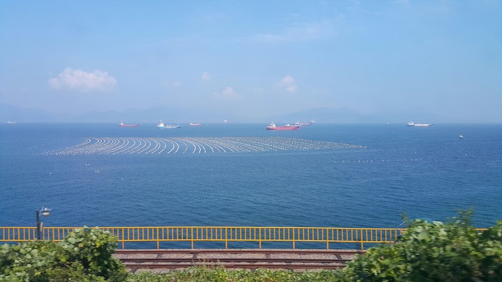 바다