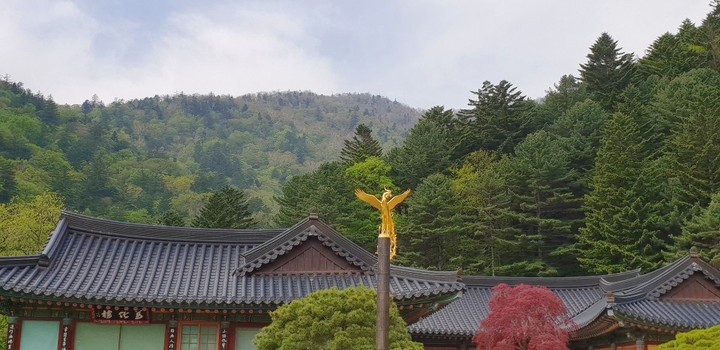 사찰