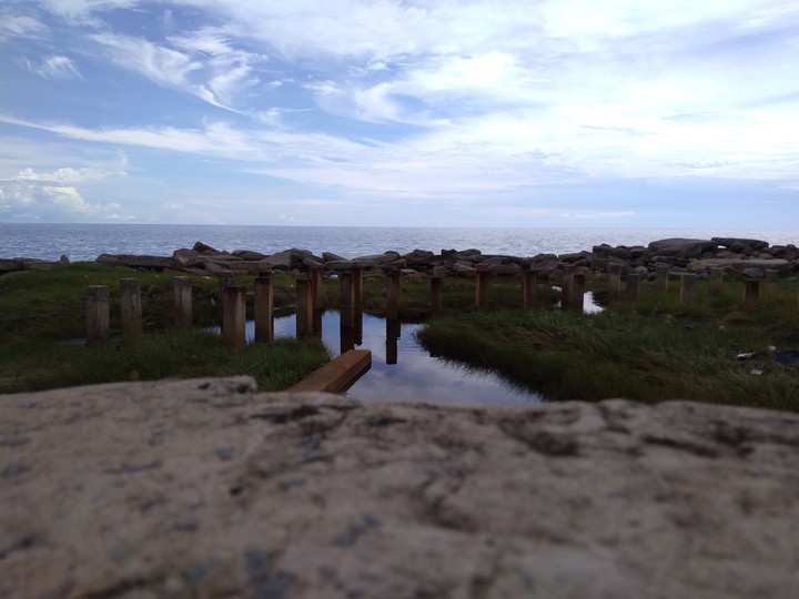 view