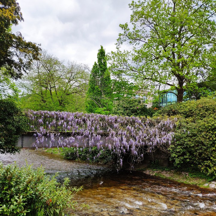Baden-Baden ♥️