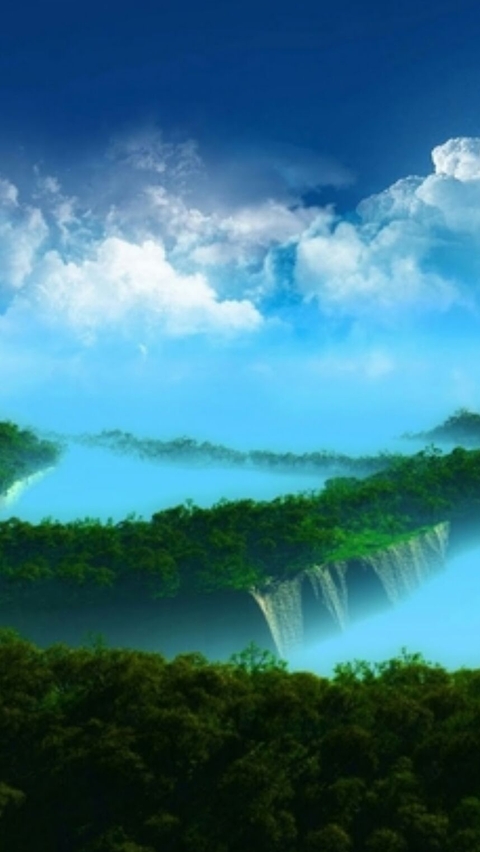 ocean and forest