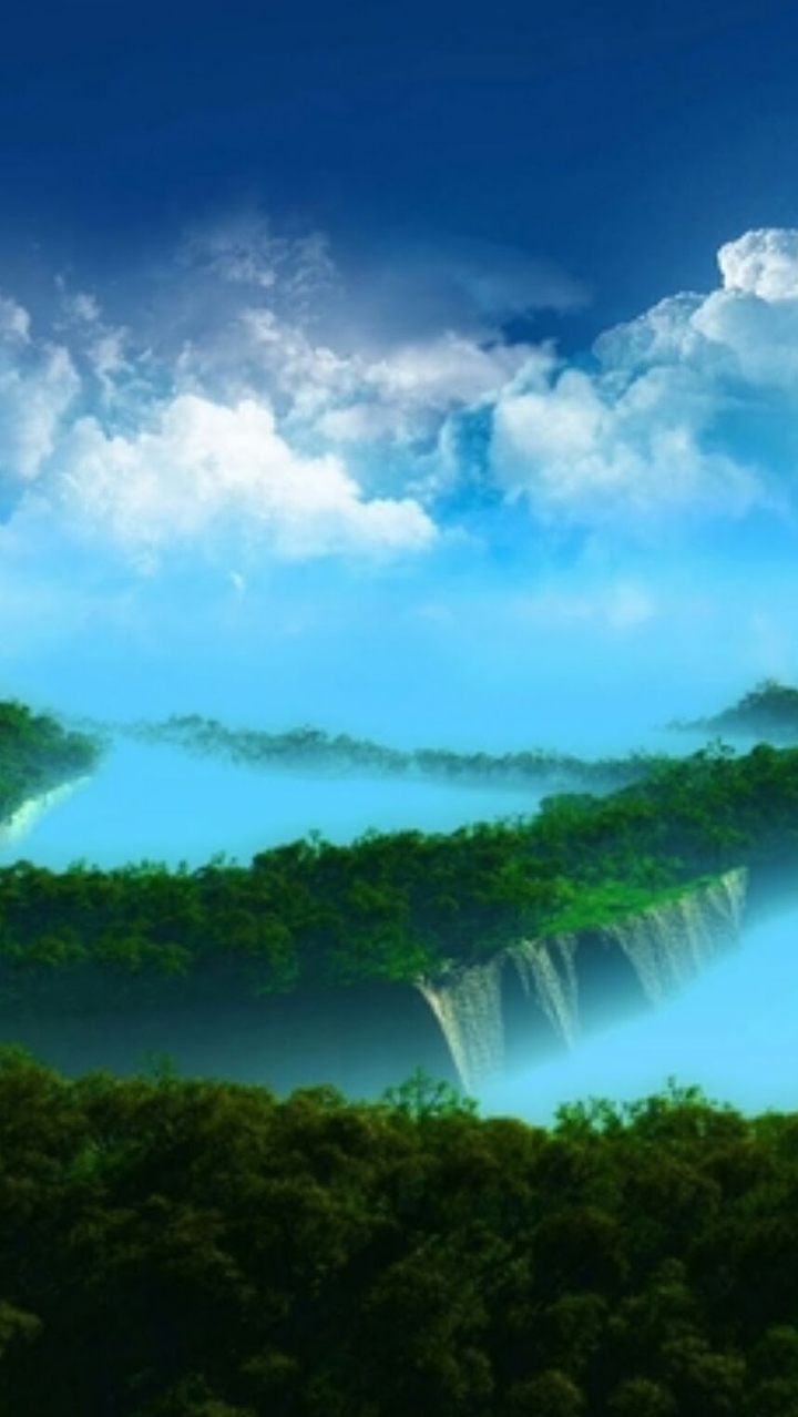 ocean and forest