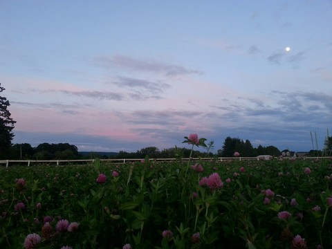 Yamhill OR