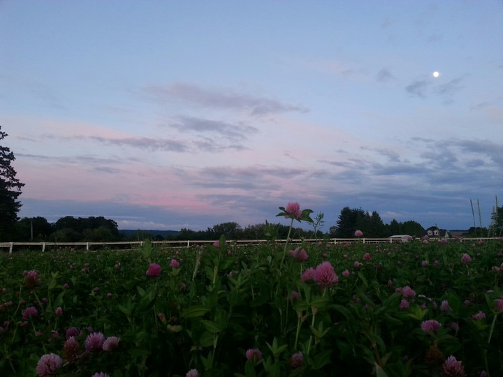 Yamhill OR