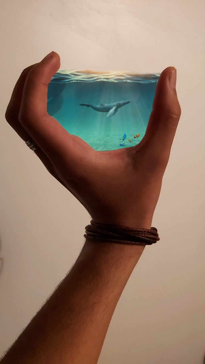 Ocean in a hand