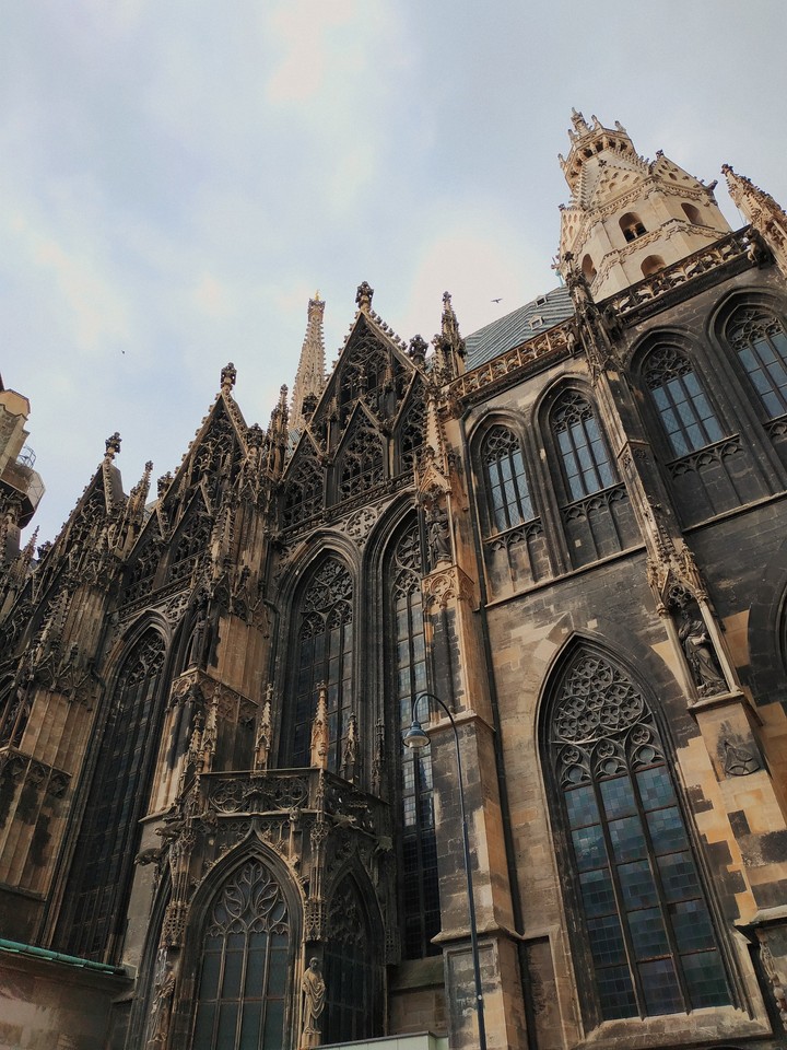Viena