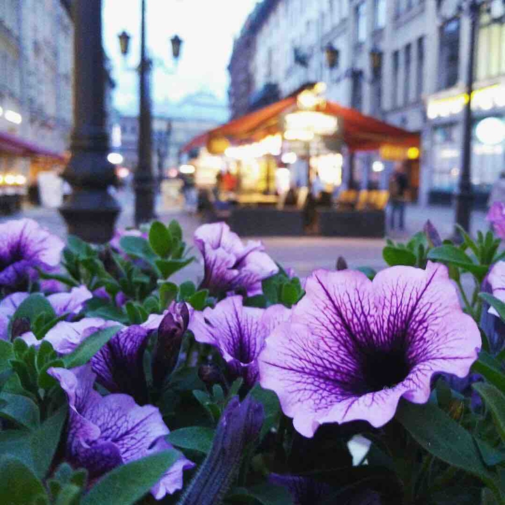Saint Petersburg