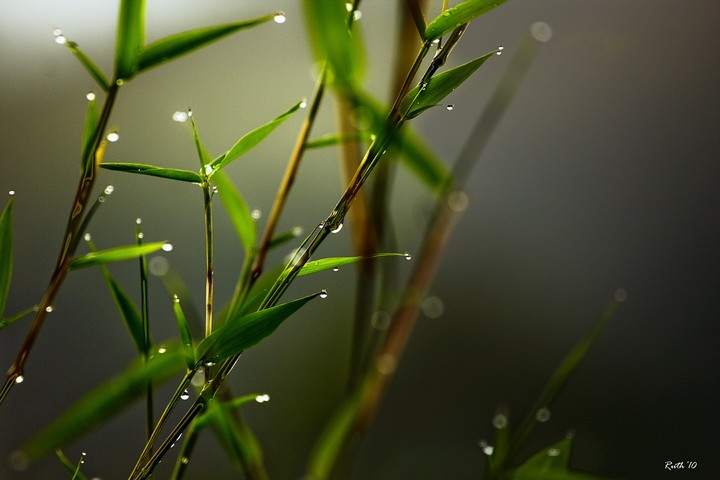 waterdrop