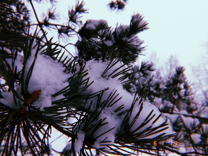 Хлопья снега