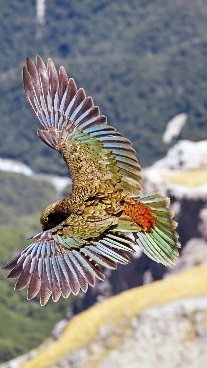Gorgeous