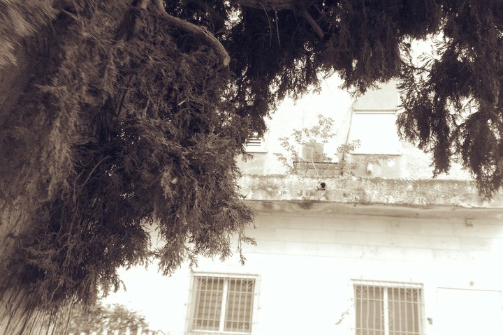old place ..