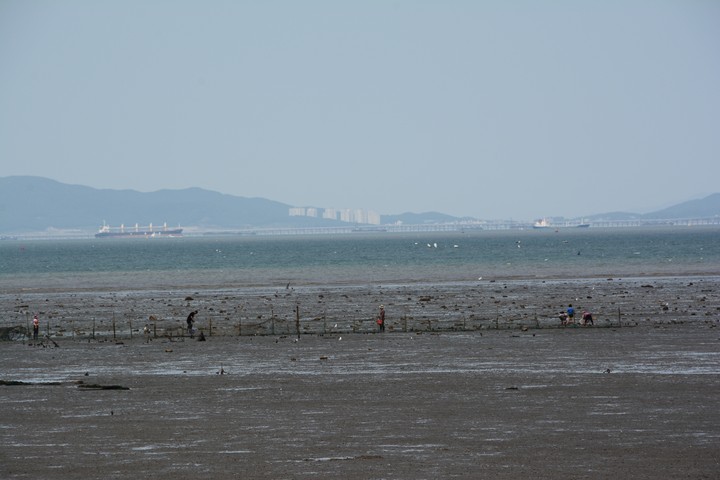 구봉도이미지