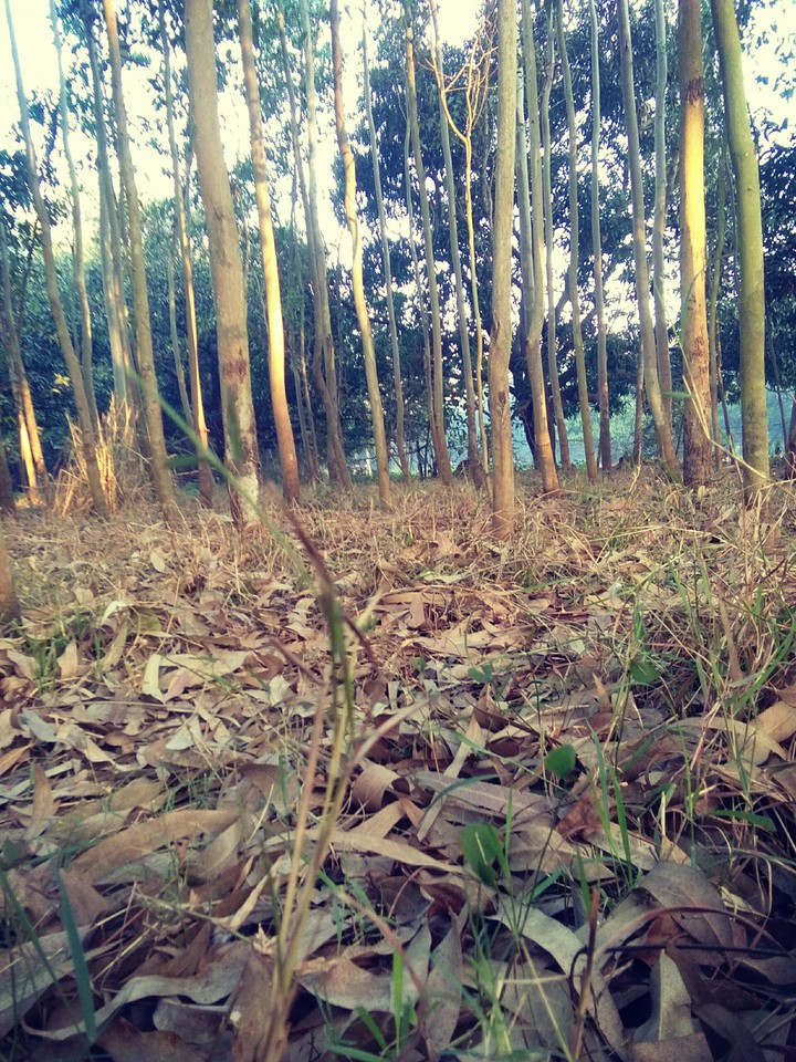 nothing