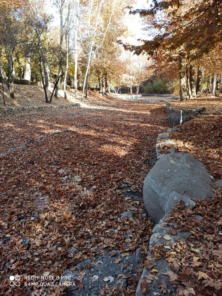 #fall
