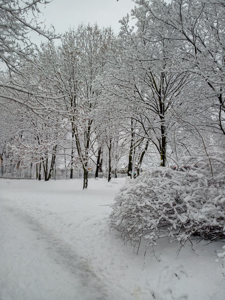 Winter in Dąbrowa Górnicza 2019