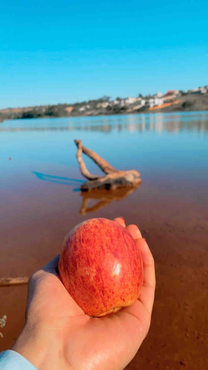 maçã na trilha