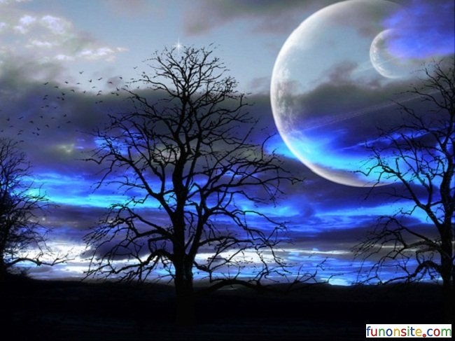 night effect!