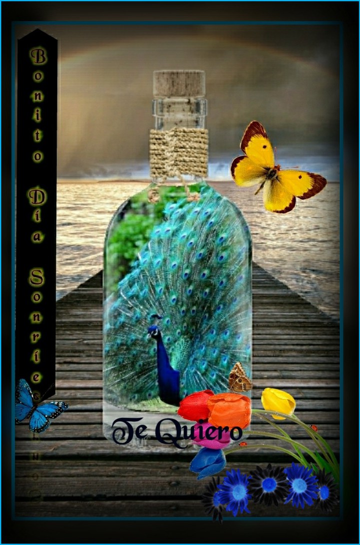Frases
