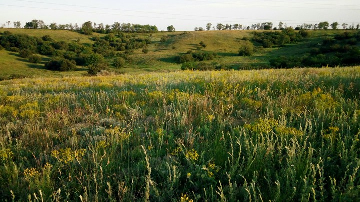 Landscape