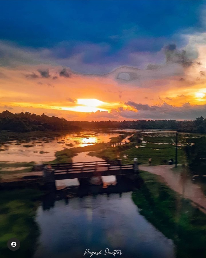 nature