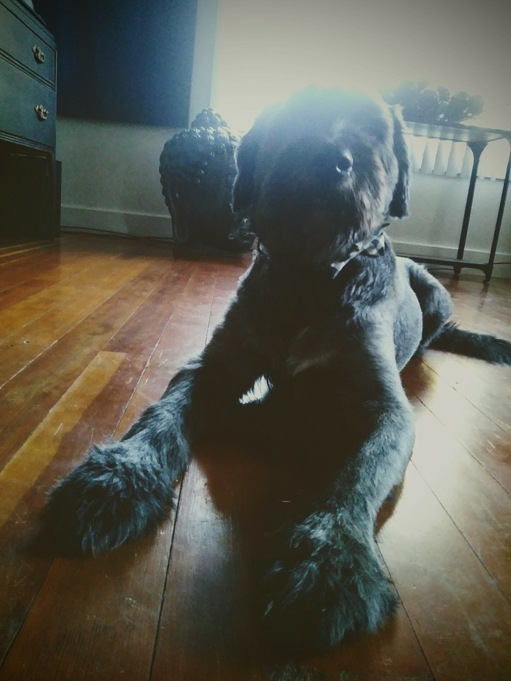 Smokey
