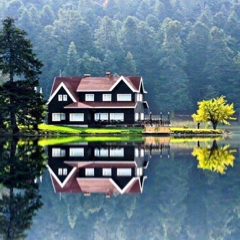 Cottage, Reflection, Forest