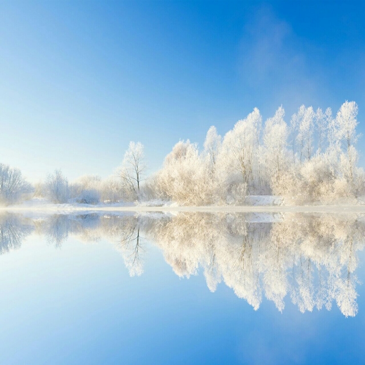 reflection