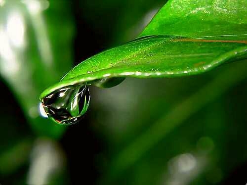 water droplets