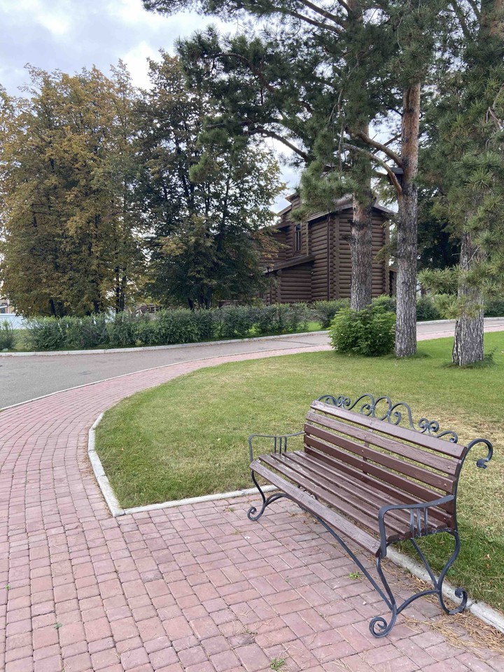 bench