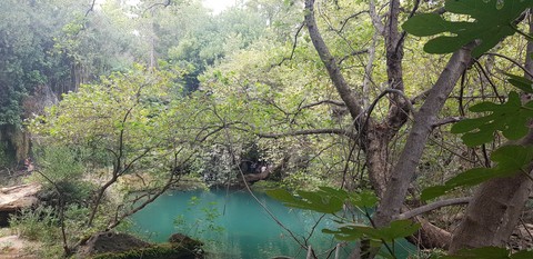 mother nature