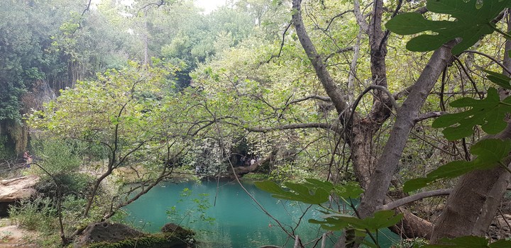 mother nature