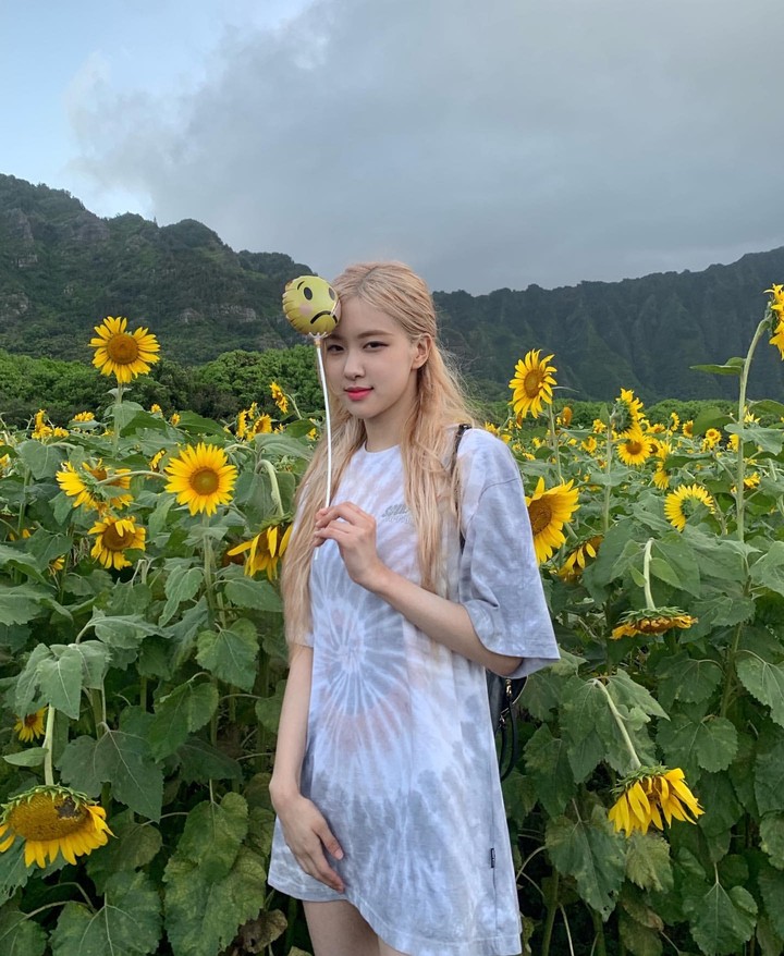 rosé blackpink