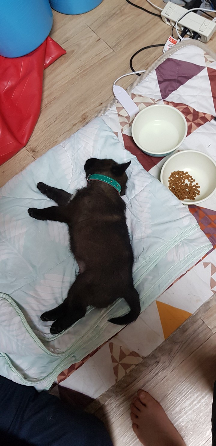 개