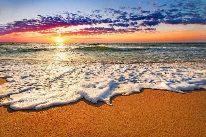 shore